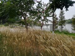 -怡海公园(桂城街道)