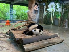 -海南热带野生动植物园