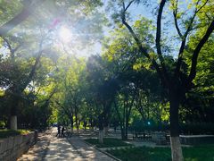 -山东大学(趵突泉校区)