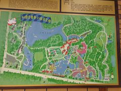 -大塘金香草谷