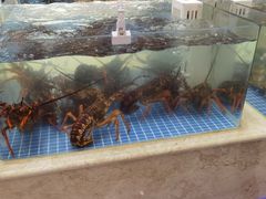 水产区-汇丰百宴(甲尔坝农贸市场店)