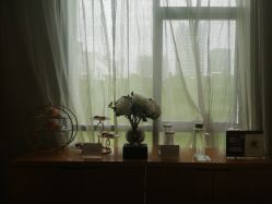 -Yestar艺星医疗美容医院