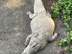 -广州长隆飞鸟乐园