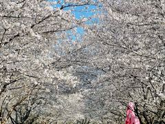-西北湖绿化广场