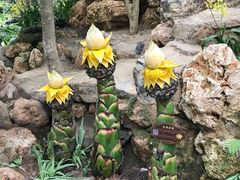 -南通洲际绿博园