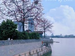 -喜洲吧·江畔老船厂·庭院餐厅(喜临院店)