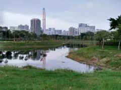 -福田红树林生态公园