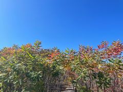 -长春世界雕塑园冰雪艺术天地