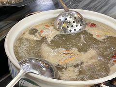 -鸽鸟轩(石岐店)