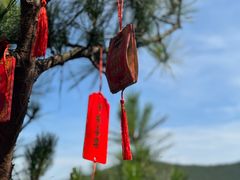 -宁波松兰山滨海旅游度假区