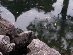 -个园