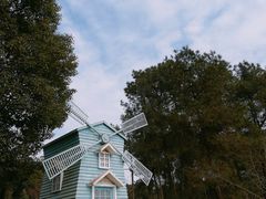 -铁山坪森林公园