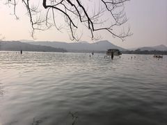 -西湖游船