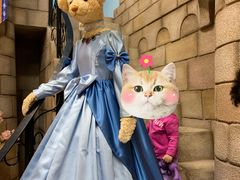 -济州岛泰迪熊博物馆