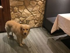 -LA CREPERIE BRETONNE布列塔尼法式餐厅(天童北路店)