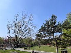 -茅山东方盐湖城景区