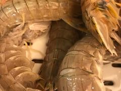 -苏大嘴海鲜牧场(奥林匹克店)