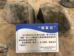 -金山城市沙滩-停车场