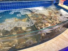 水产区-乔哥铭洋海鲜自助(皇城恒隆广场店)