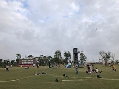 -春花秋色城市公园