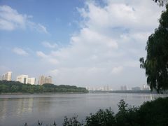 -大谊园