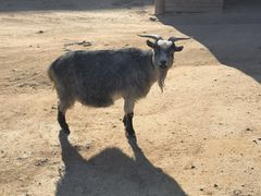 -北京市海淀外国语实验学校