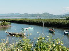-盐洲岛