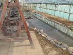 -庞各庄翠芳园西瓜蔬菜基地采摘园