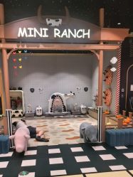 -meland亲子乐园•活动包场(北京亦庄龙湖天街店)