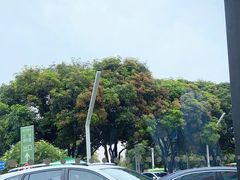 -星巴克(厦门SM新生活广场店)