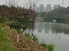 -重庆彩云湖湿地公园