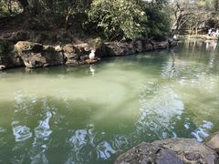 -兰亭风景区