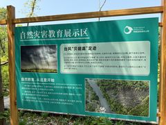 -同里国家湿地公园