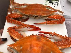 -宾朋海鲜特色美食餐厅·纯手工鲅鱼水饺(兴海路店)