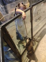 -酷嗒动物文化乐园(cutezoo西溪乐天城店)