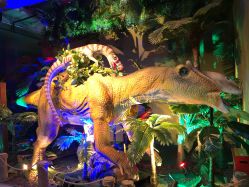 -恐龙探索乐园(磁器口店)