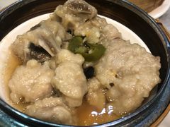 -糖朝(尖沙咀店)