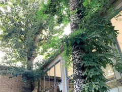 -VOYAGE COFFEE 咖啡烘焙工坊店(798艺术区店)
