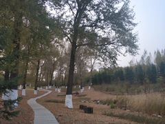 -长春世界雕塑园冰雪艺术天地