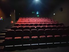 -星环影城(立水桥店)