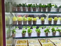 -领鲜活海鲜榴莲自助火锅(东门店)