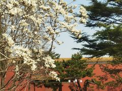 -北京市劳动人民文化宫(太庙)