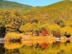 -周口店坡峰岭风景区