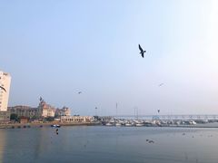 -大连圣亚海洋世界