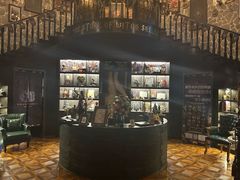 -雪灵魔法世界SHELLY’S TAROT(大良桂畔里店)