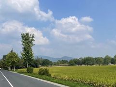 -良渚古城遗址公园