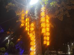 -剑河仰阿莎温泉小镇