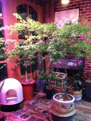 -青木造型HAIR·あおき髪を刈る潮人店