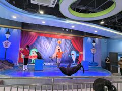 -芜湖新华联大白鲸海洋公园