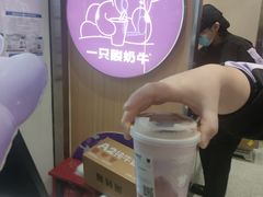 -一只酸奶牛(八一路店)